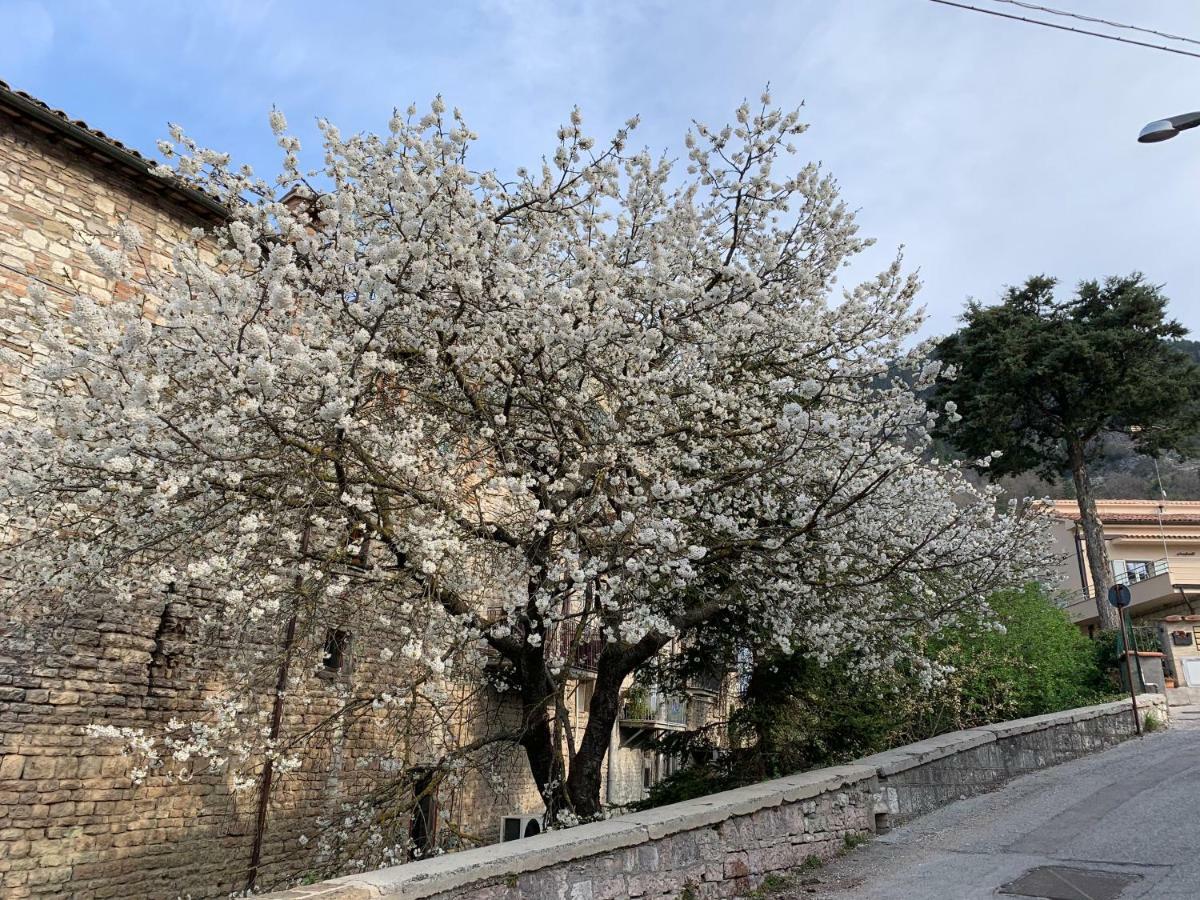 Residenza Via Dante * Gubbio